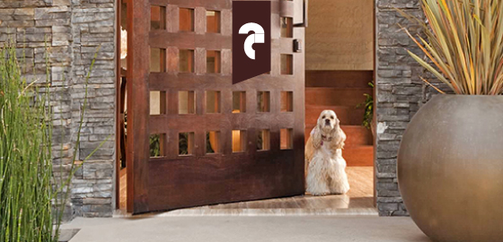 Puertas de diseño