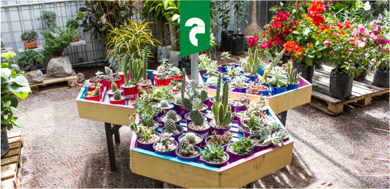 Jardines Zona Garden